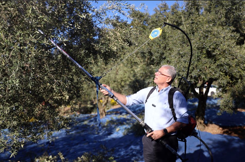 Mudanya Belediyesi, zeytin üreticisinin yanında