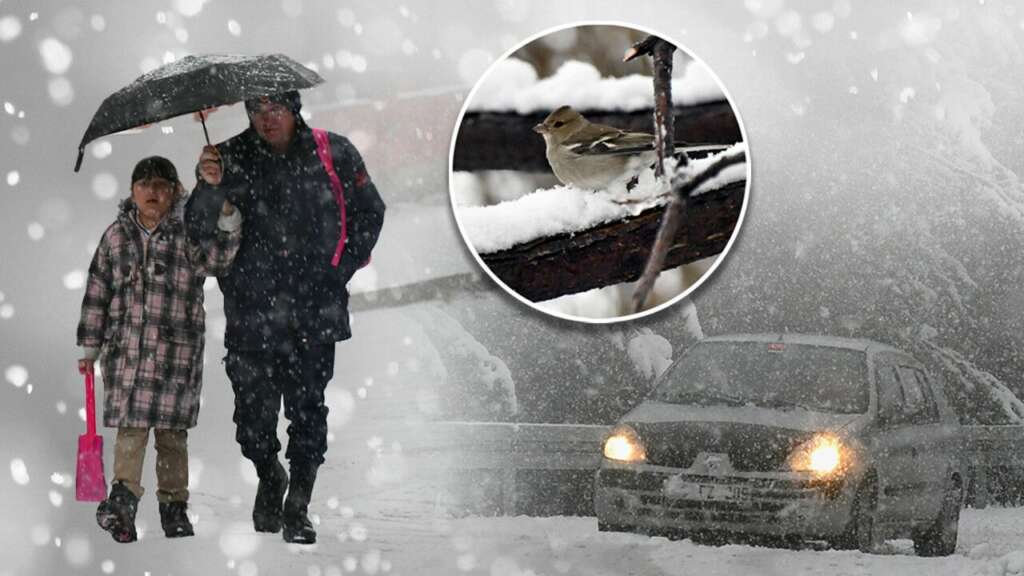 Kar yağışı etkisini artırıyor! Meteoroloji 11 il için yeni uyarı yayımladı