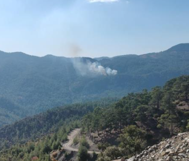 Köyceğiz’de orman yangını