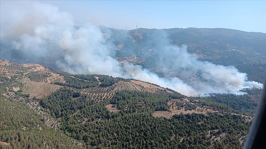 Hatay’da orman yangını