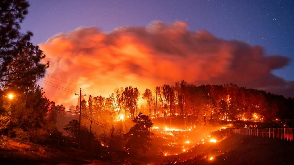 California’da orman yangınında 4 bin 37 dönümlük alan kül oldu