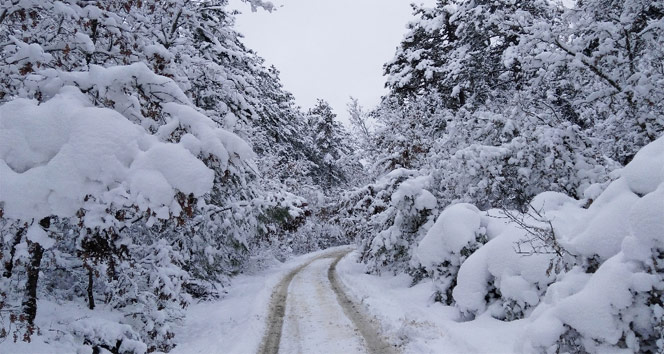 Meteoroloji uyardı, Türkiye buz kesiyor