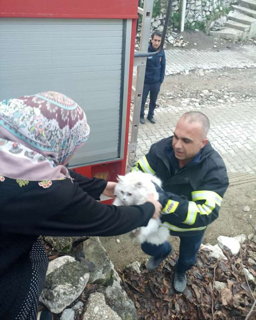 Ağaçta mahsur kalan kediyi itfaiye kurtardı