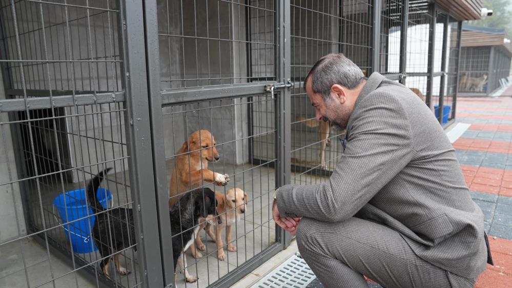 Gürsu’nun ödüllü bakım merkezi bir yaşında