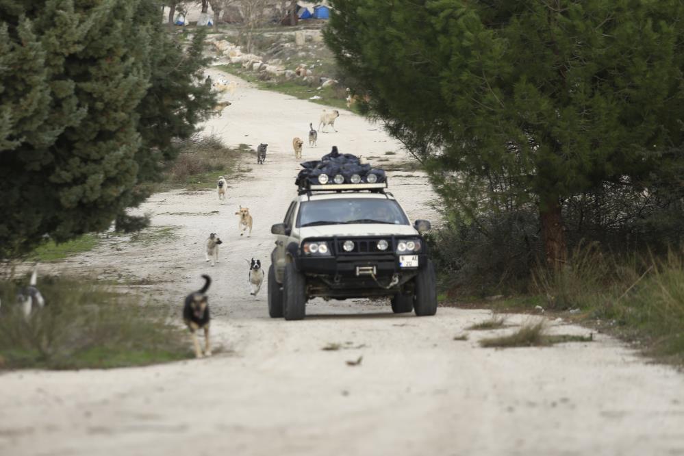 Dağdaki yüzlerce terk edilmiş sokak hayvanı her gün onun yolunu gözlüyor