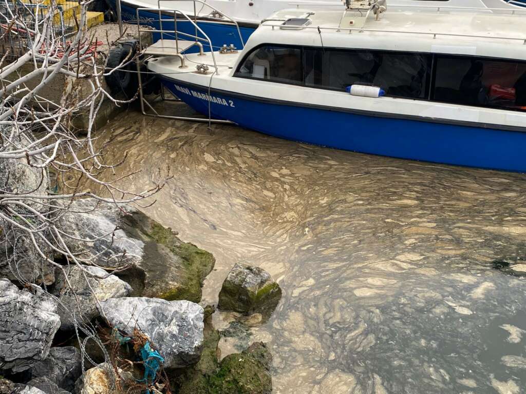 Kadıköy’de deniz yüzeyinde müsilaj tehdidi