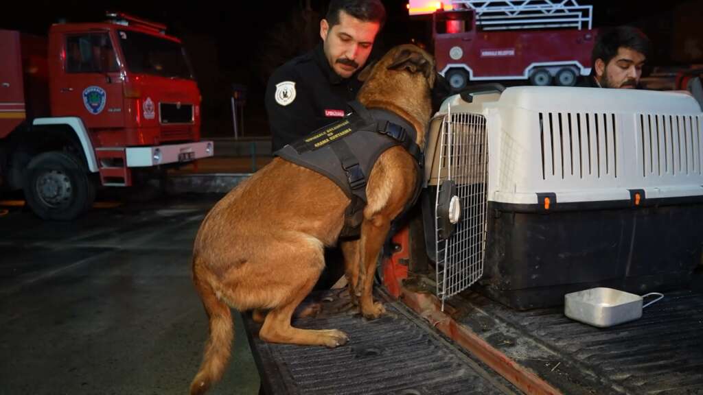 Hassas burunlu köpekler arama-kurtarma çalışmaları için Konya’ya hareket etti