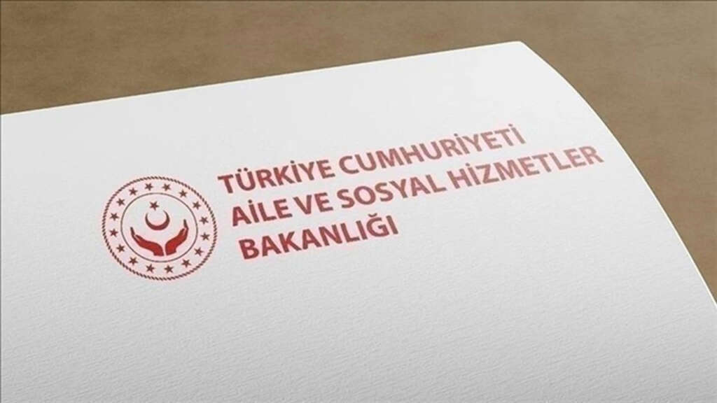 14 yaşındaki çocuk doğum yaptı, Sosyal hizmetlerden açıklama