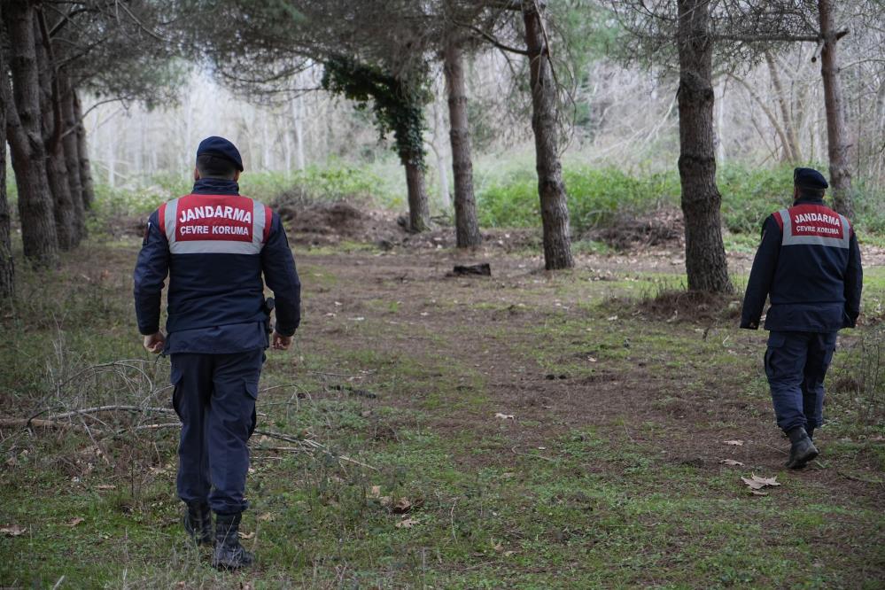 Bursa’da firar eden ayı havadan ve karadan aranıyor