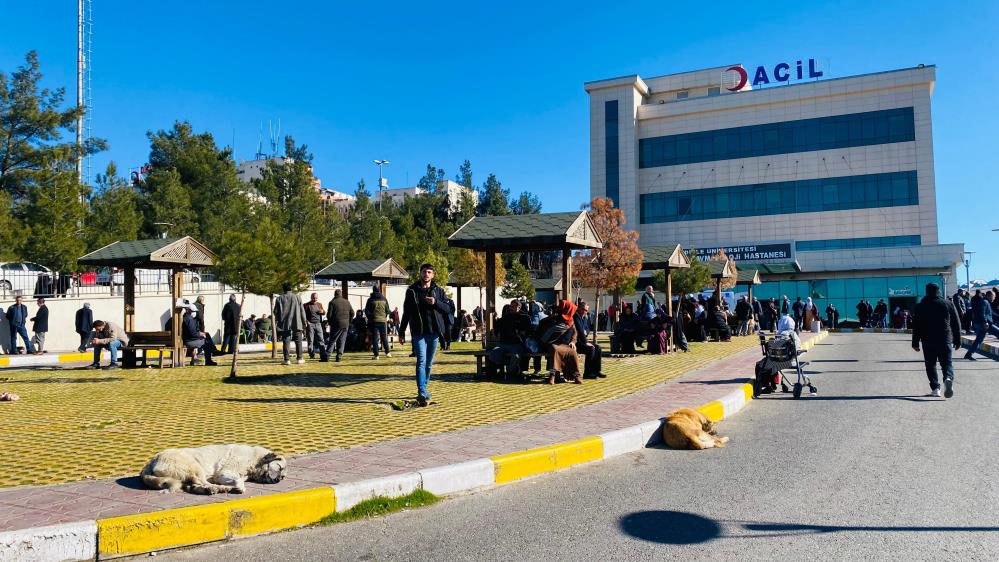 Diyarbakır’da köpek saldırısına uğrayan çocuk kafasından yaralandı