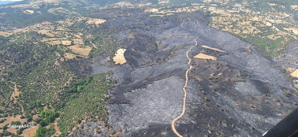 Bursa’da ormanlar küllerinden doğuyor