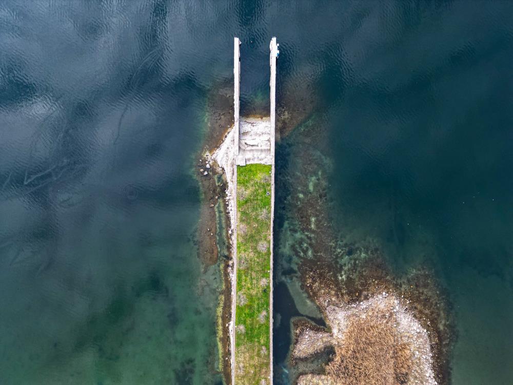 Sapanca Gölü’nden sevindiren haber