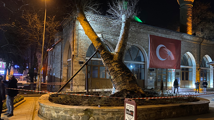 Bursa’da 550 yıllık çınar, tarihi İshakpaşa Camii’nin üzerine devrildi