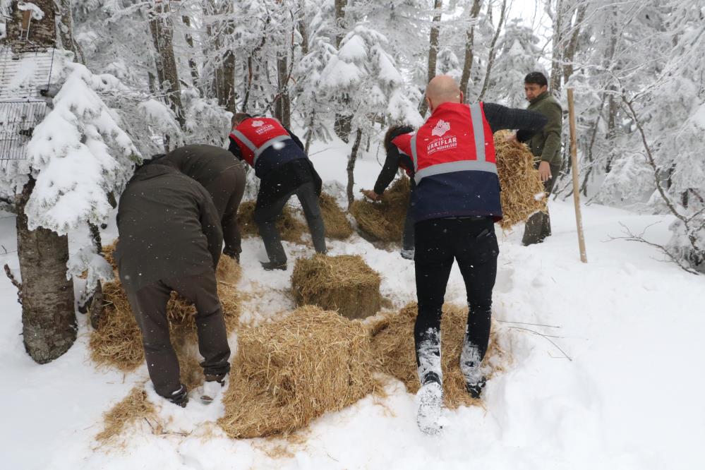 Uludağ’daki yaban hayvanları unutulmadı