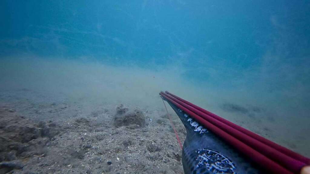 Çanakkale Boğazı’nda müsilajın deniz dibindeki yoğunluğu arttı