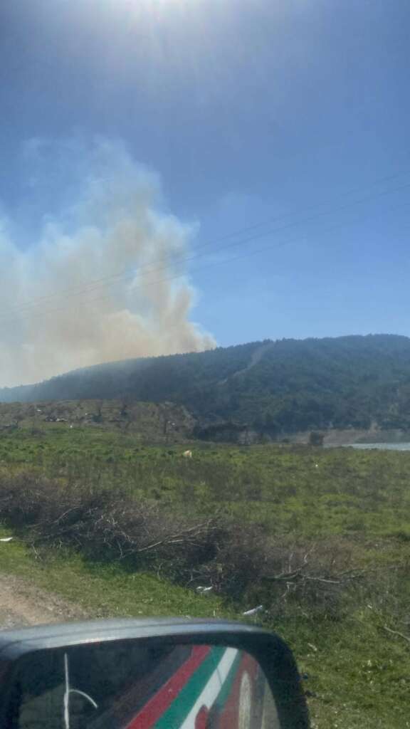 Çanakkale’deki orman yangınında 3 hektar alan zarar gördü