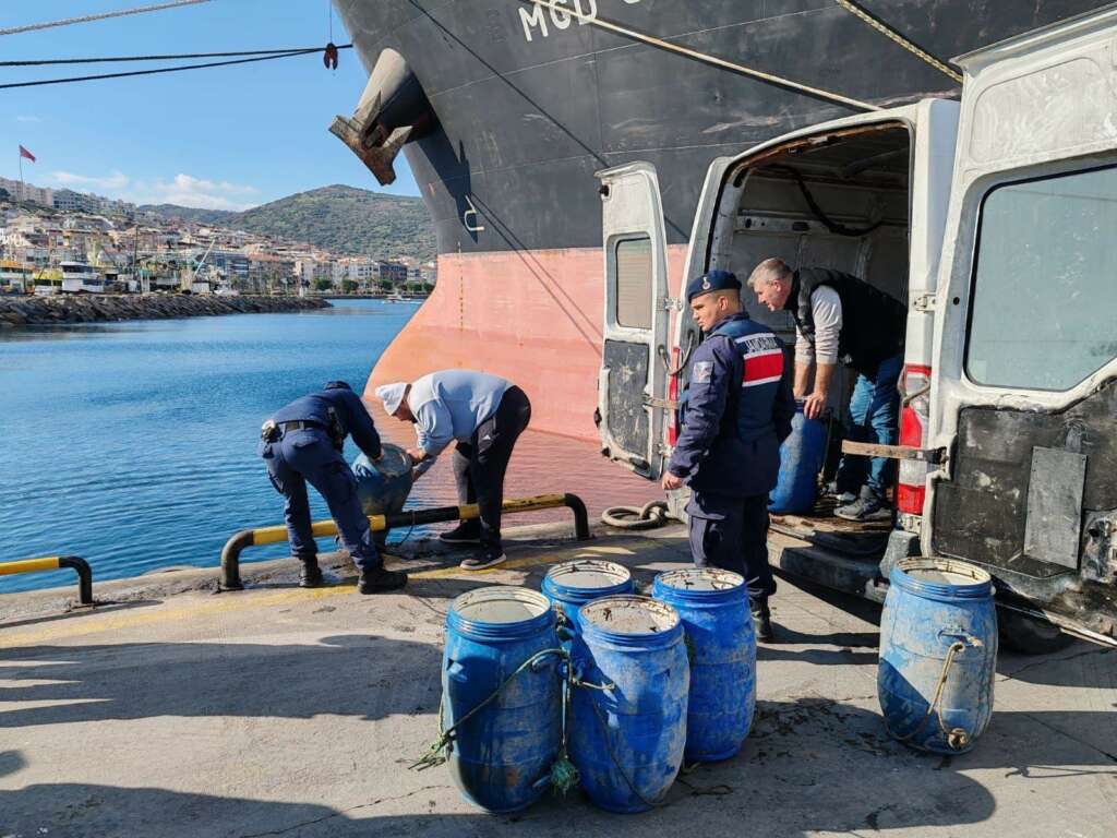 Yasadışı yollarla avlanan deniz patlıcanları denize salındı