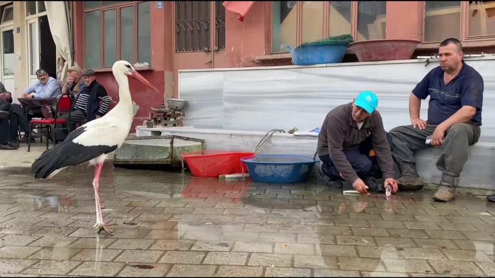 Yaren’den sonra şimdi de Bilal leylek