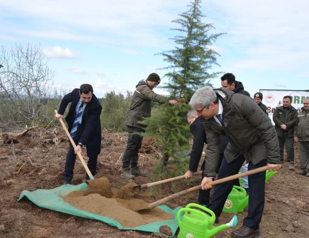 Bursa’da denetimli serbestlik yükümlüleri fidan dikti