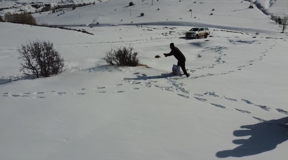 Bayburt’ta yaban hayvanları unutulmuyor