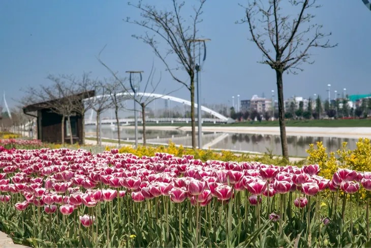 Bursa park ve bahçeleri baharla renklenecek