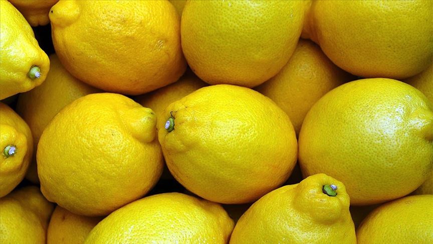 Sosyal medyada limon fiyatlarına ilişkin yalanı Ticaret Bakanlığı ortaya çıkardı